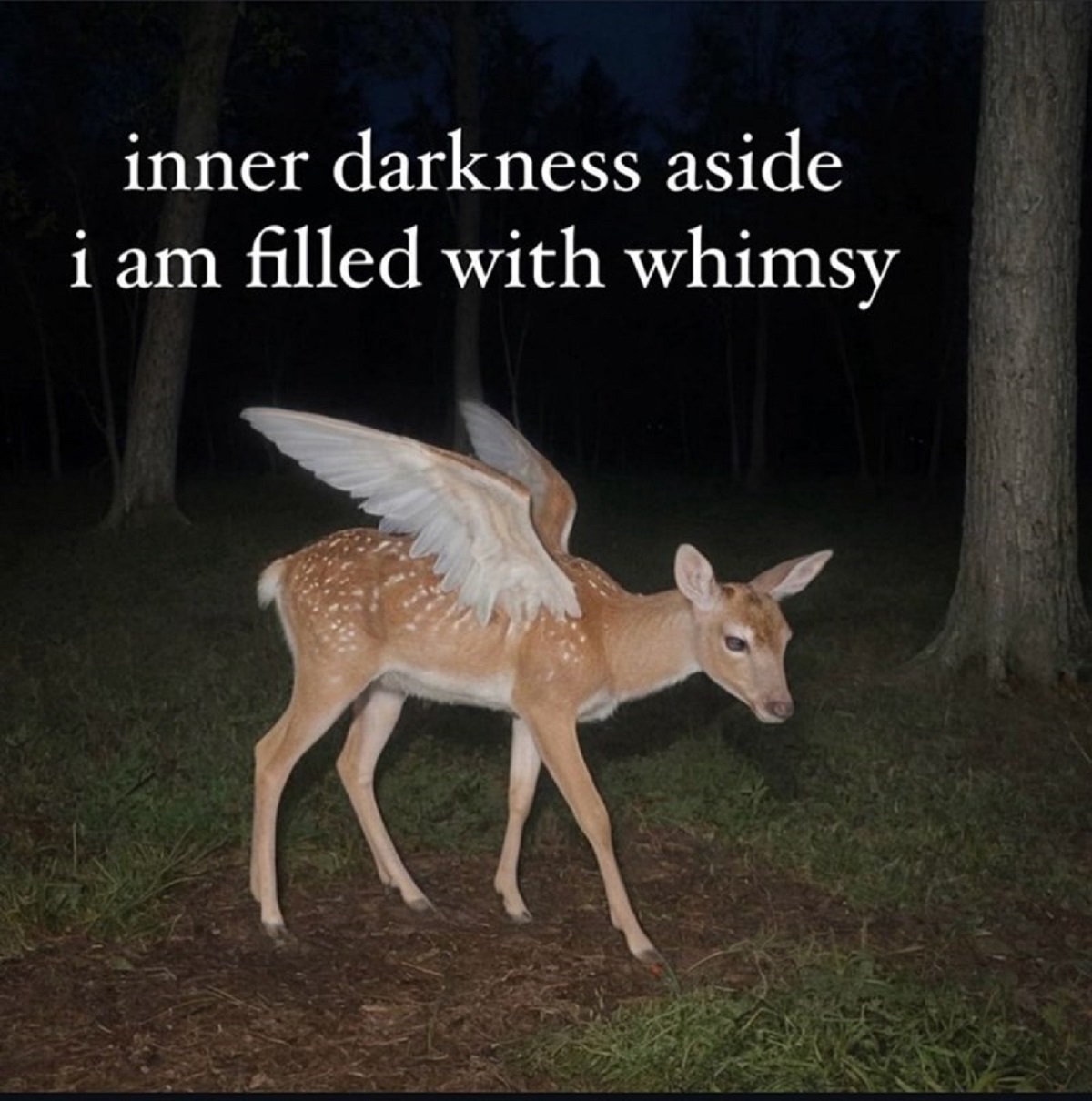 white-tailed deer - inner darkness aside i am filled with whimsy