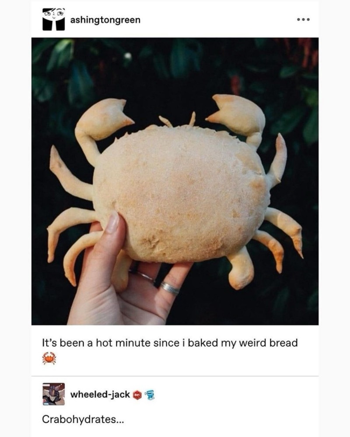 bread crab - ashingtongreen 000 It's been a hot minute since i baked my weird bread wheeledjack Crabohydrates... B01