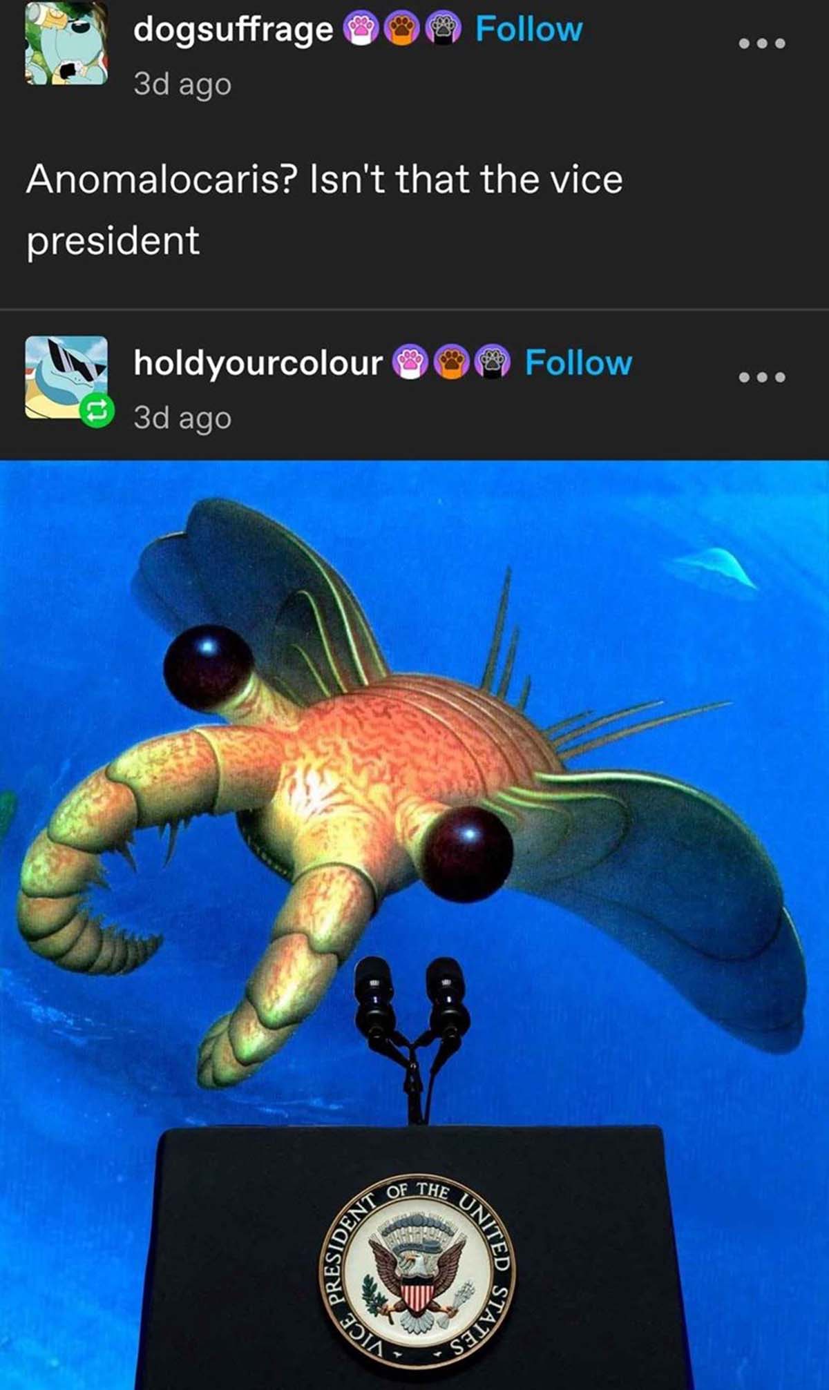 anomalocaris meme - dogsuffrage 3d ago Anomalocaris? Isn't that the vice president holdyourcolour 3d ago President Of The Din United States