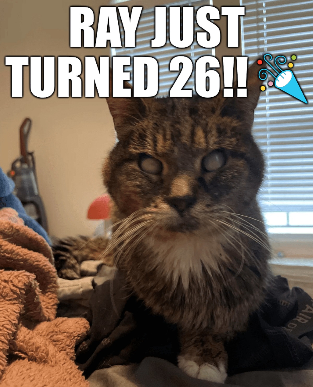 Caturday 12-28-24