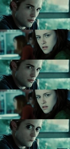 Everyone Loves... Twilight