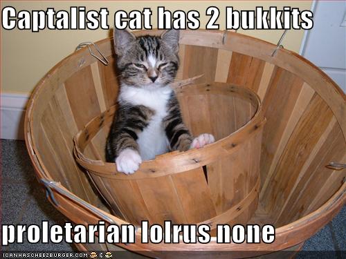 lolcat and other animals