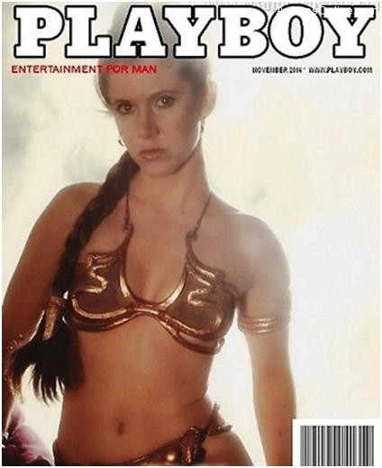 Awsome Fake Playboy Covers