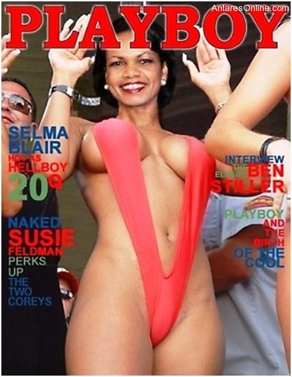 Awsome Fake Playboy Covers