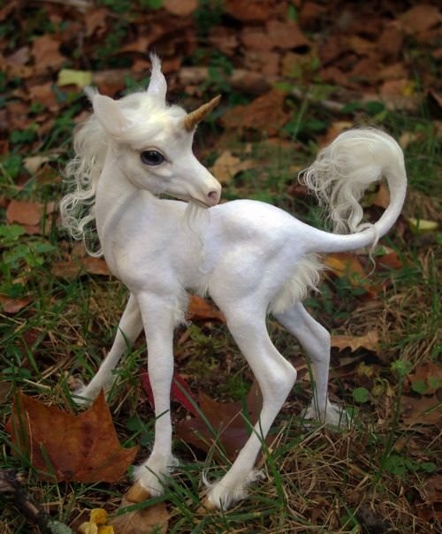 baby unicorns