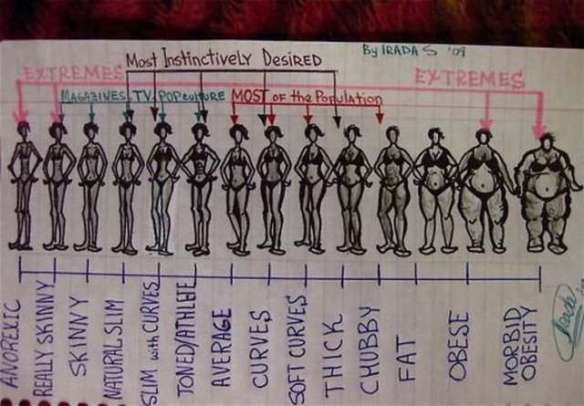body type scale - Anorexic To O Really Skinnyl Skinny Natural Slim Slim with Curves TonedAthletell Average Curves Soft Curves Thick Chubby Fat 1 Curves That 1 Extremes Magazines Tvore Ure Most Of the Population Most Instinctively DesiRED By Iradas Extreme