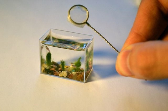 smallest fish tank