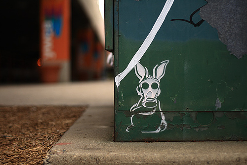 Badass Bunnies In Graffiti