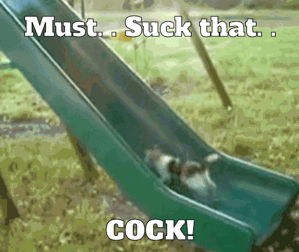 Pussy gots to suck that cock