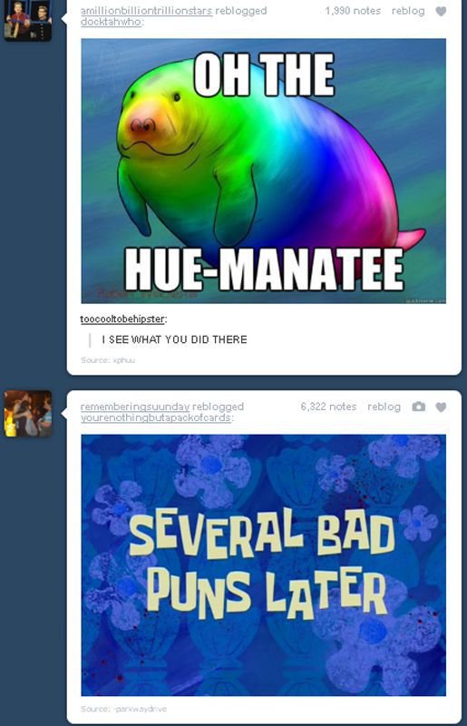 Tumblr Coincidences