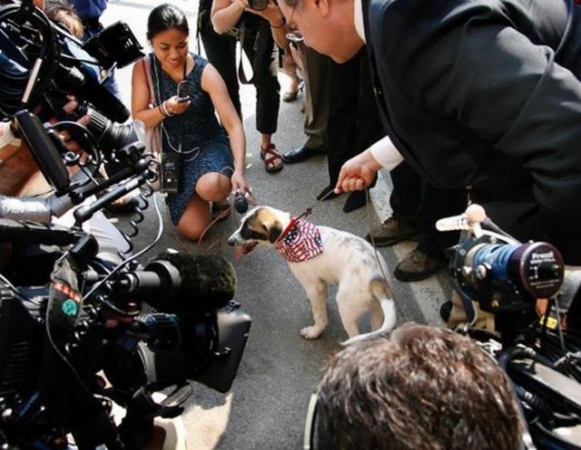 Dead Soldier's Puppy Became a Symbol of Hope for His Family