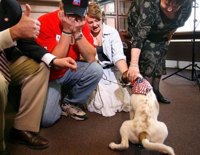 Dead Soldier's Puppy Became a Symbol of Hope for His Family