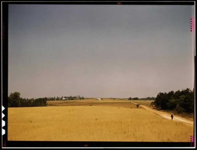 Color Photos of Great Depression