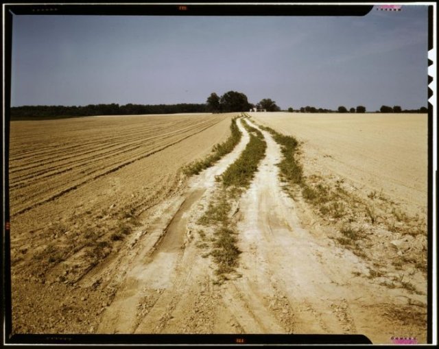 Color Photos of Great Depression