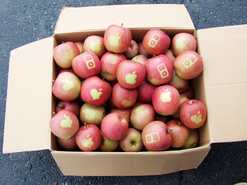 a Japanese guy has devised a way to naturally grow Fuji apples with the Apple logo on them. His technique is very simple: Apply an Apple sticker or iPod or Appleish Heart a month before harvesting.