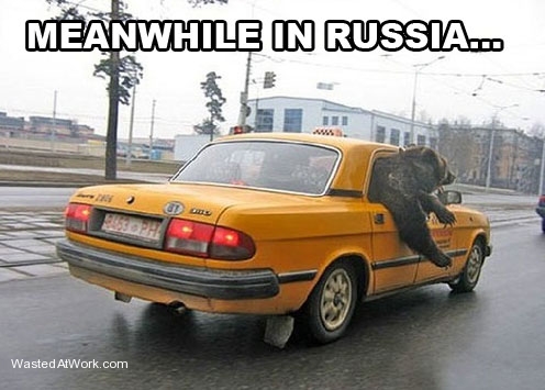 bear in taxi - Meanwhile In Russia.. Odge Wasted AtWork.com