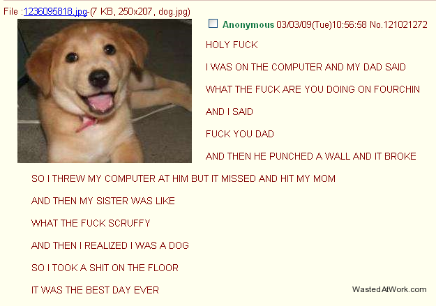dog on 4chan - File 1236095818.jpg7 Kb, 250x207, dog.jpg Anonymous 030309Tue58 No. 121021272 Holy Fuck I Was On The Computer And My Dad Said What The Fuck Are You Doing On Fourchin And I Said Fuck You Dad And Then He Punched A Wall And It Broke So I Threw
