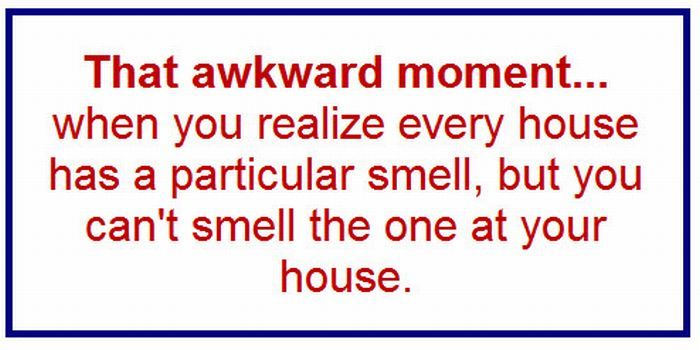 angle - That awkward moment... when you realize every house has a particular smell, but you can't smell the one at your house.
