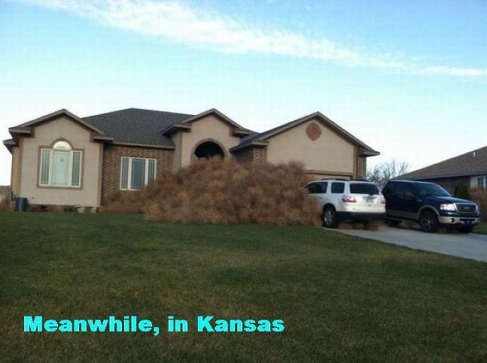 house - Meanwhile, in Kansas