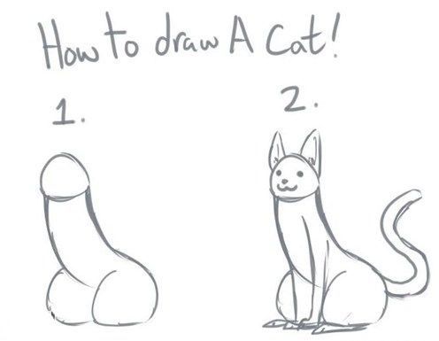 draw a cat dick - How to draw A Cat! 1.
