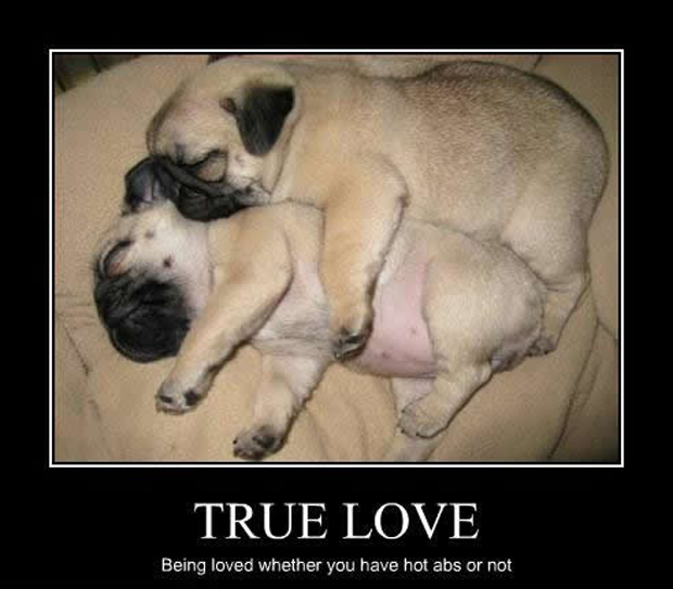 cute love - True Love Being loved whether you have hot abs or not