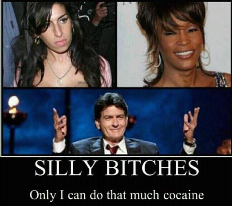 whitney houston candlelight vigil - Silly Bitches Only I can do that much cocaine