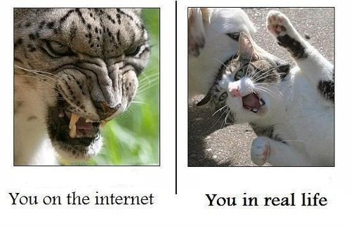 you on internet vs real life - You on the internet. You in real life