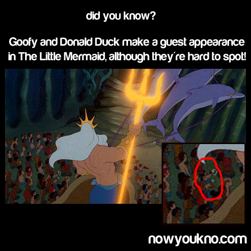 did you know goofy - did you know? Goofy and Donald Duck make a guest appearance in The Little Mermaid, although they're hard to spot! nowyoukno.com