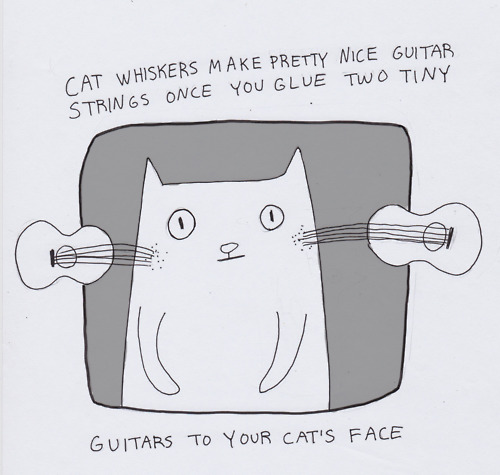 cartoon - Cat Whiskers Make Pretty Nice Guitab Strings Once You Glue Two Tiny O I Guitars To Your Cat'S Face