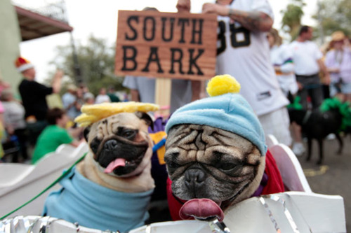 south park dog costume - South Id Bark