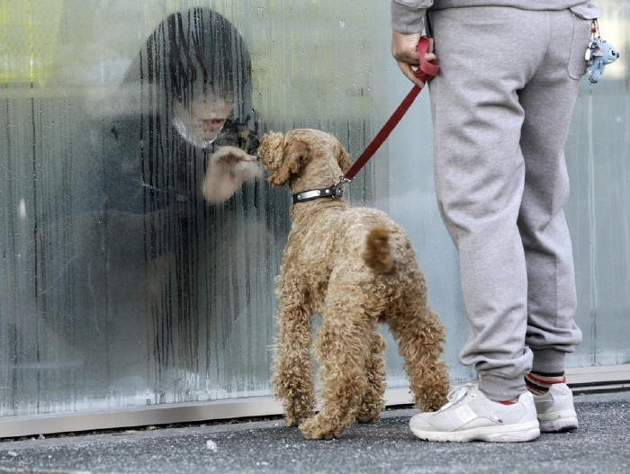 A girl in isolation for radiation screening looks at her dog through a window in Nihonmatsu, Japan.