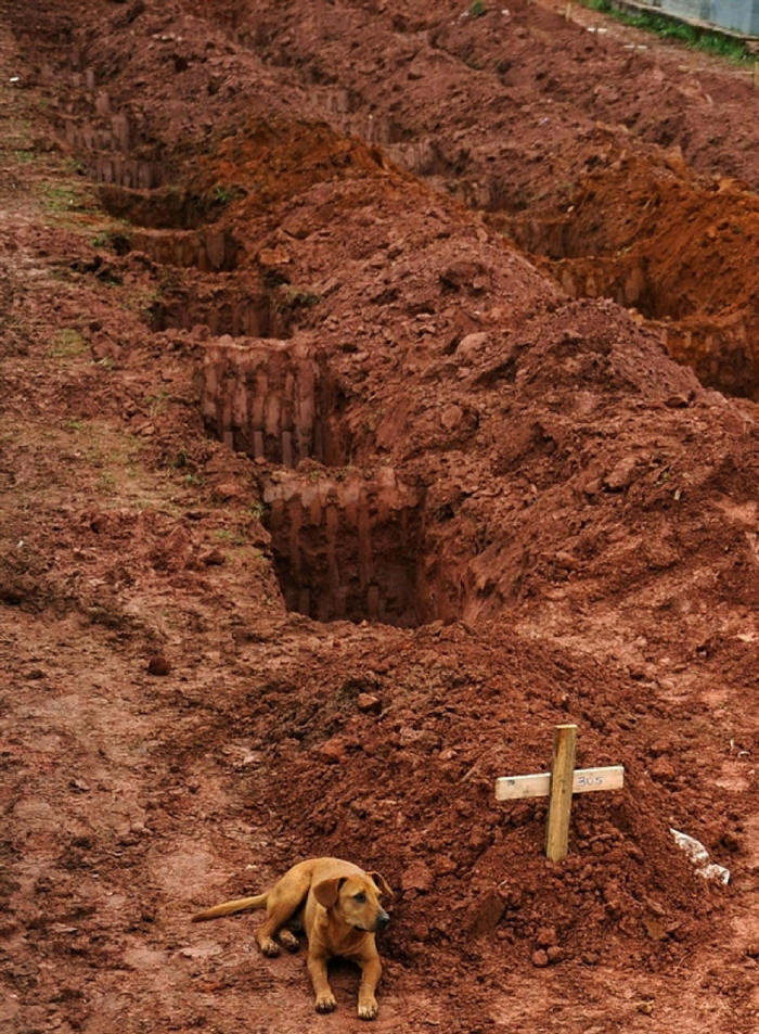 A dog named Leao keeps watch by the the grave of his owner who was killed in a landslide in Rio de Janeiro