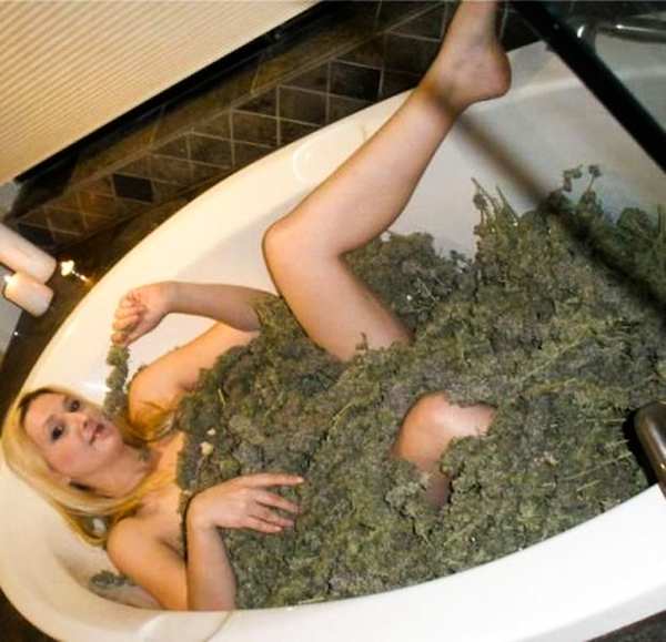 random pics from my adventures through the internet