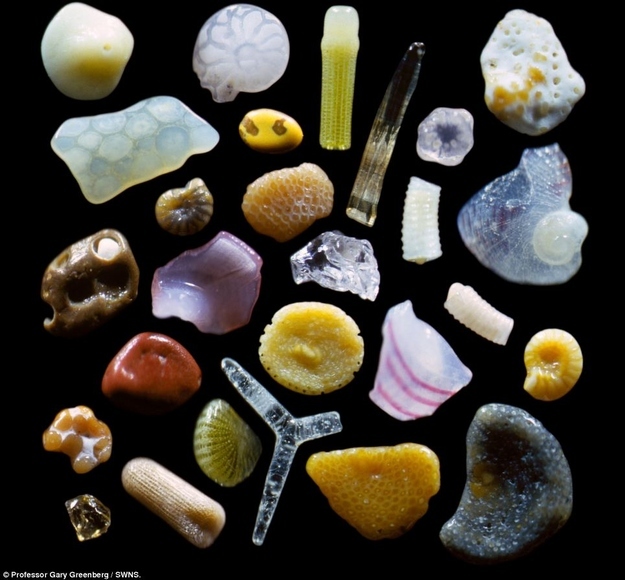 here's what sand looks like under a microscope: