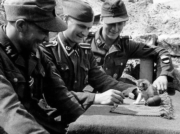 German soldiers taking a break from fighting as they play with a cute kitten. 1943.