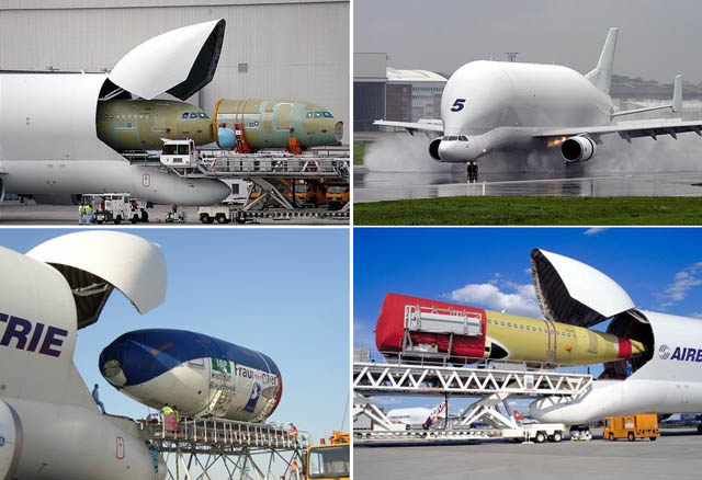 The Airbus A300-600ST Super Transporter or Beluga, is a version of the standard A300-600 wide-body airliner modified to carry aircraft parts and oversized cargo. It was officially called the Super Transporter at first, but the name Beluga became popular and has now been officially adopted.