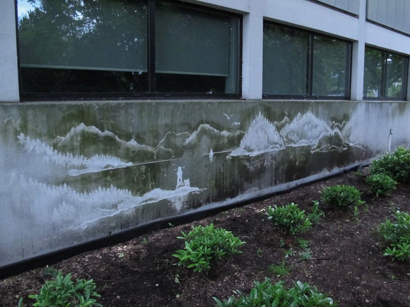 Incredible Works Of Reverse Graffiti