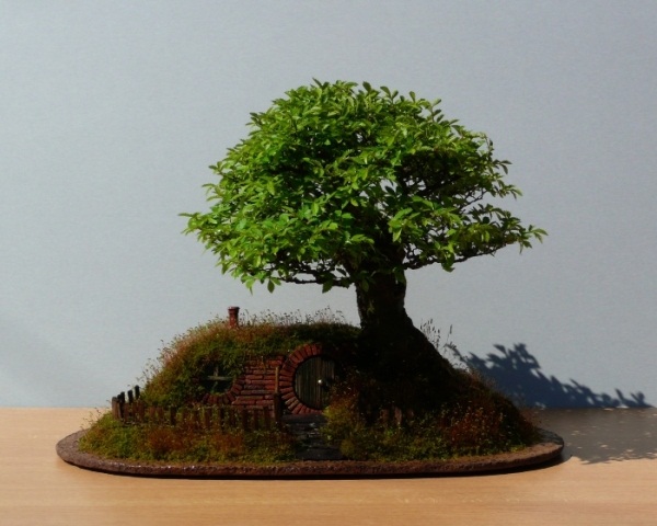 Miniature Bonsai Hobbit House Gallery