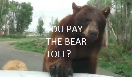 bear toll