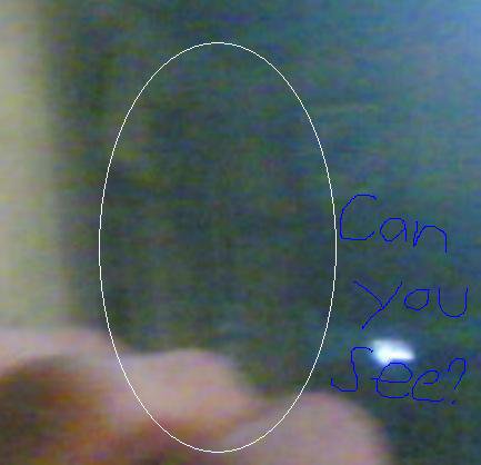 zoomed copy of the captured ghost..