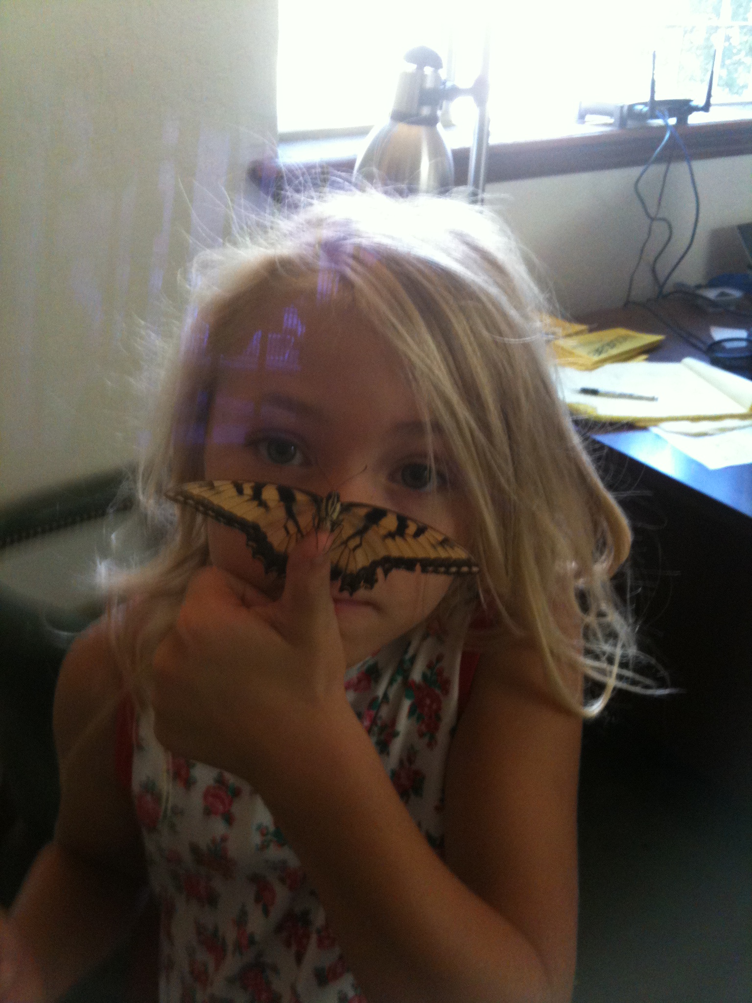 my daughter loves to catch and hold butterfly's this summer when she caught this monarch butterfly, to our suprise  the butterfly would pose long enough close to her face to catch this shot.cool.