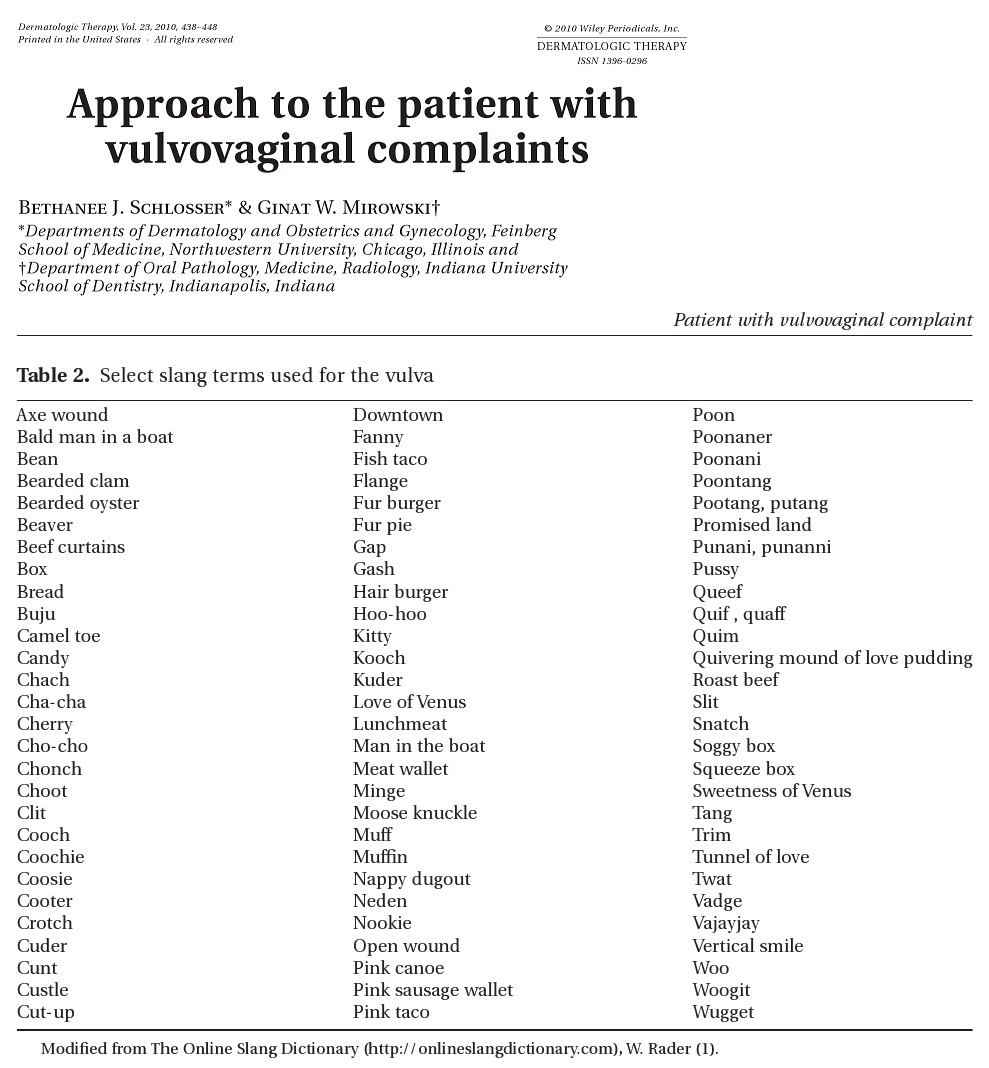 Slang Terms Picture eBaum's World