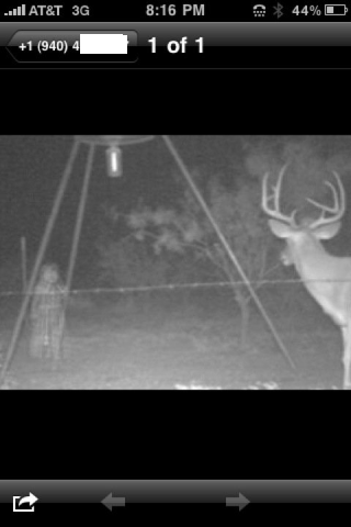 caught this on my game cam in north Tx.