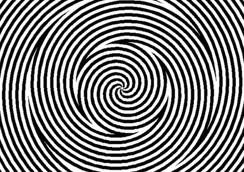 stare at the middle of this pic for 20 seconds then look away