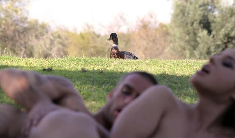 spy duck