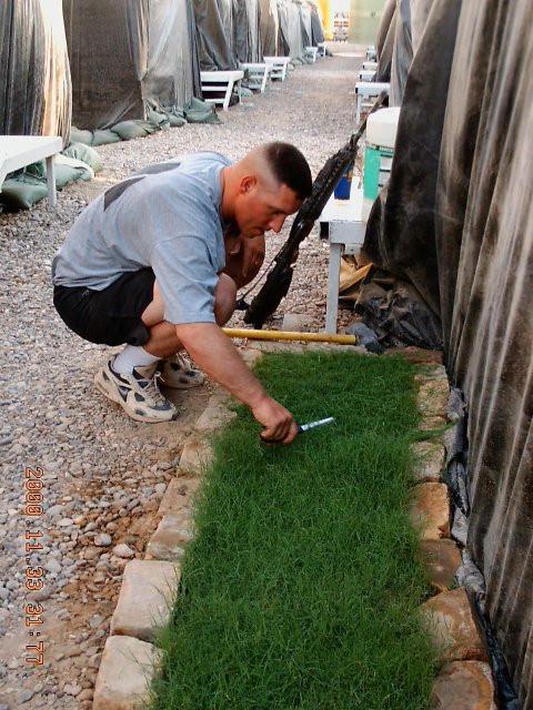 Grass seed,that's what a soldier stationed in Iraq asked for from his wife. It's the only grass on the base and not easy to keep in 125 degree heat. 