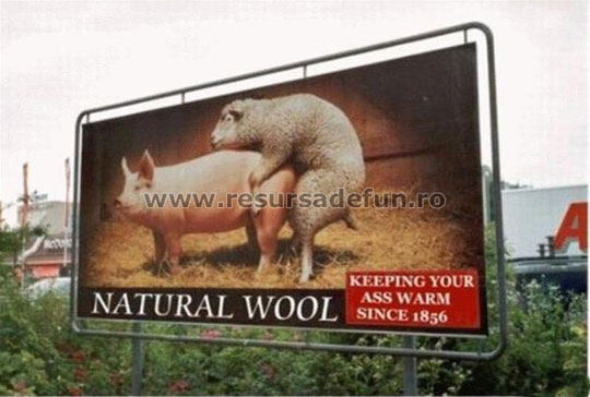 wool meme - Natural Wool Keeping Your Ass Warm Since 1856