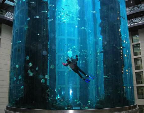 Awesome Fish Tanks
