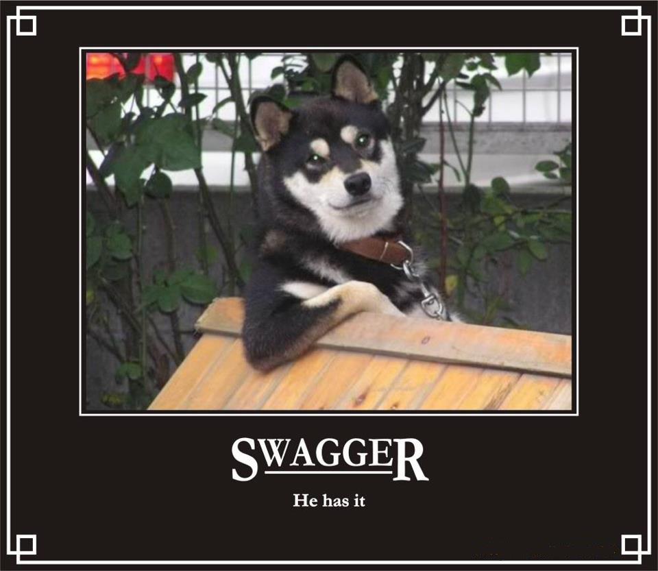 cool dog fonz - Swagger He has it Le