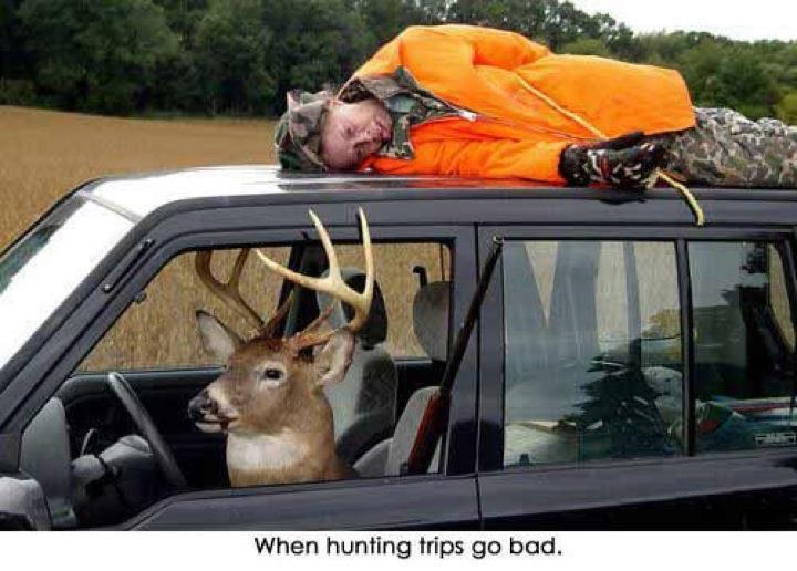funny deer hunter - When hunting trips go bad.